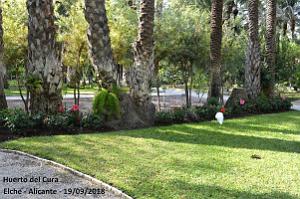 19 ELCHE HUERTO DEL CURA (35)